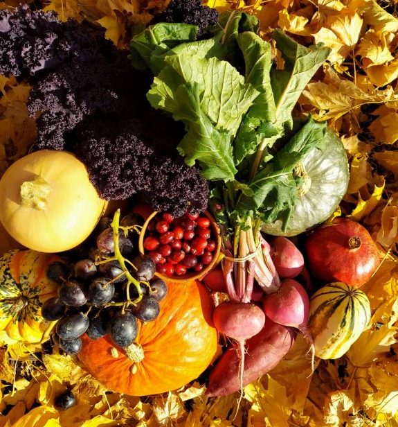 Welcome Fall – Organize Eating Co.